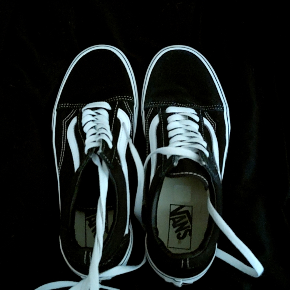 Vans Old Skool Platform